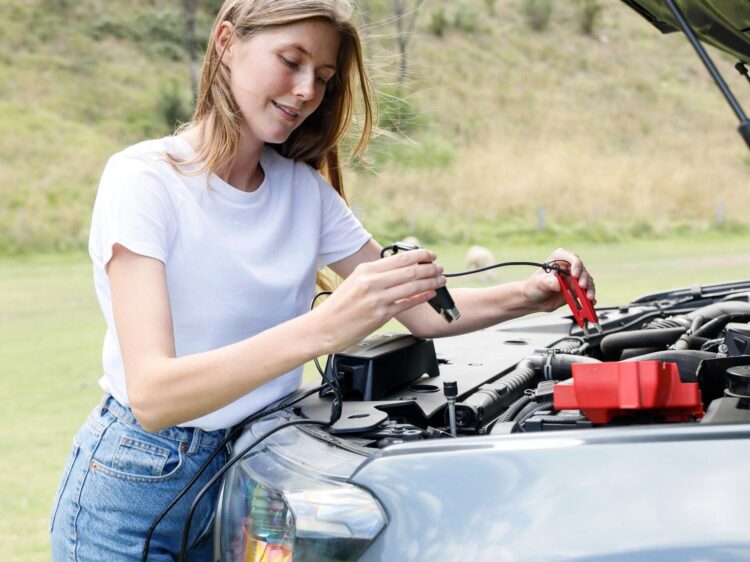 INTEC - caricabatterie e mantenitore CTEK CS FREE